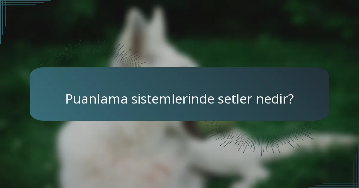 Puanlama sistemlerinde setler nedir?
